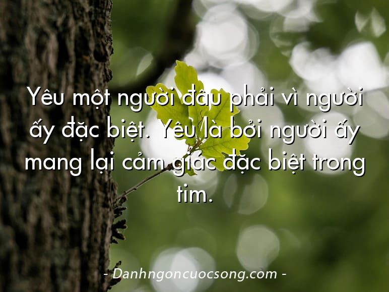 Yêu một người đâu phải vì người ấy đặc biệt. Yêu là bởi người ấy mang lại cảm giác đặc biệt trong tim.