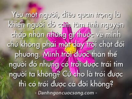 Yêu một người, điều quan trọng là khiến người đó cam tâm tình nguyện chấp nhận những gì thuộc về mình chứ không phải mặt dày trói chặt đối phương. Mình trói được thân thể người đó nhưng có trói được trái tim người ta không? Cứ cho là trói được thì có trói được cả đời không?