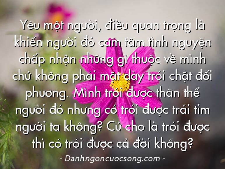 Yêu một người, điều quan trọng là khiến người đó cam tâm tình nguyện chấp nhận những gì thuộc về mình chứ không phải mặt dày trói chặt đối phương. Mình trói được thân thể người đó nhưng có trói được trái tim người ta không? Cứ cho là trói được thì có trói được cả đời không?