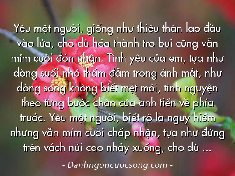 Yêu một người, giống như thiêu thân lao đầu vào lửa, cho dù hóa thành tro bụi cũng vẫn mỉm cười đón nhận. Tình yêu của em, tựa như dòng suối nhỏ thấm đẫm trong ánh mắt, như dòng sông không biết mệt mỏi, tình nguyện theo từng bước chân của anh tiến về phía trước. Yêu một người, biết rõ là nguy hiểm nhưng vẫn mỉm cười chấp nhận, tựa như đứng trên vách núi cao nhảy xuống, cho dù tim không ngừng đập loạn lên vẫn muốn cùng anh tiếp tục đoạn trần duyên này.