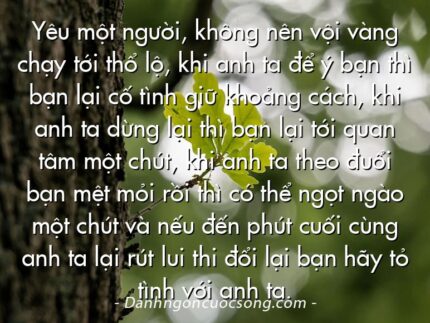 Yêu một người, không nên vội vàng chạy tới thổ lộ, khi anh ta để ý bạn thì bạn lại cố tình giữ khoảng cách, khi anh ta dừng lại thì bạn lại tới quan tâm một chút, khi anh ta theo đuổi bạn mệt mỏi rồi thì có thể ngọt ngào một chút và nếu đến phút cuối cùng anh ta lại rút lui thi đổi lại bạn hãy tỏ tình với anh ta.