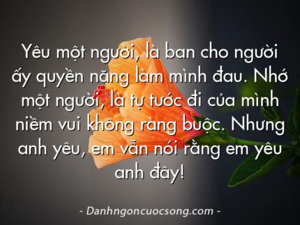 Yêu một người, là ban cho người ấy quyền năng làm mình đau. Nhớ một người, là tự tước đi của mình niềm vui không ràng buộc. Nhưng anh yêu, em vẫn nói rằng em yêu anh đây!