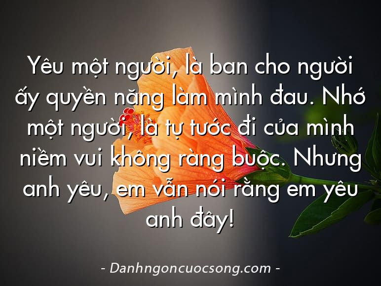 Yêu một người, là ban cho người ấy quyền năng làm mình đau. Nhớ một người, là tự tước đi của mình niềm vui không ràng buộc. Nhưng anh yêu, em vẫn nói rằng em yêu anh đây!