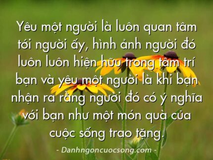 Yêu một người là luôn quan tâm tới người ấy, hình ảnh người đó luôn luôn hiện hữu trong tâm trí bạn và yêu một người là khi bạn nhận ra rằng người đó có ý nghĩa với bạn như một món quà của cuộc sống trao tặng.