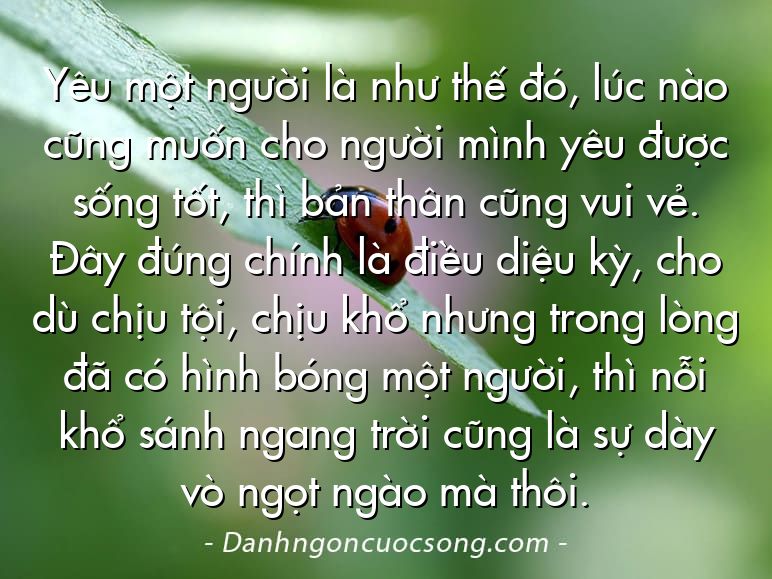 Yêu một người là như thế đó, lúc nào cũng muốn cho người mình yêu được sống tốt, thì bản thân cũng vui vẻ. Đây đúng chính là điều diệu kỳ, cho dù chịu tội, chịu khổ nhưng trong lòng đã có hình bóng một người, thì nỗi khổ sánh ngang trời cũng là sự dày vò ngọt ngào mà thôi.