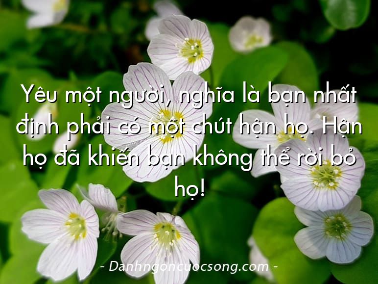 Yêu một người, nghĩa là bạn nhất định phải có một chút hận họ. Hận họ đã khiến bạn không thể rời bỏ họ!
