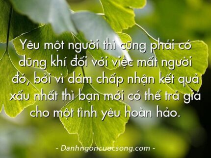 Yêu một người thì cũng phải có dũng khí đối với việc mất người đó, bởi vì dám chấp nhận kết quả xấu nhất thì bạn mới có thể trả giá cho một tình yêu hoàn hảo.