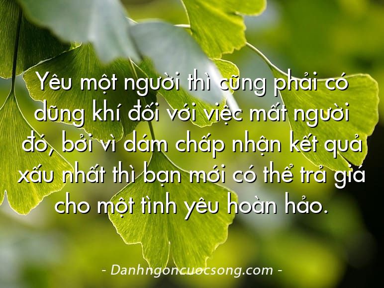 Yêu một người thì cũng phải có dũng khí đối với việc mất người đó, bởi vì dám chấp nhận kết quả xấu nhất thì bạn mới có thể trả giá cho một tình yêu hoàn hảo.