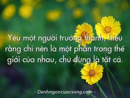Yêu một người trưởng thành, hiểu rằng chỉ nên là một phần trong thế giới của nhau, chứ đừng là tất cả.