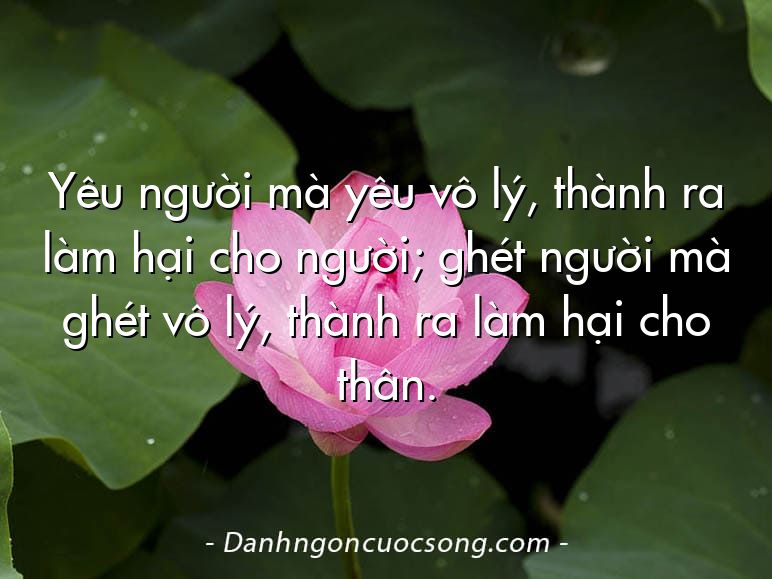 Yêu người mà yêu vô lý, thành ra làm hại cho người; ghét người mà ghét vô lý, thành ra làm hại cho thân.