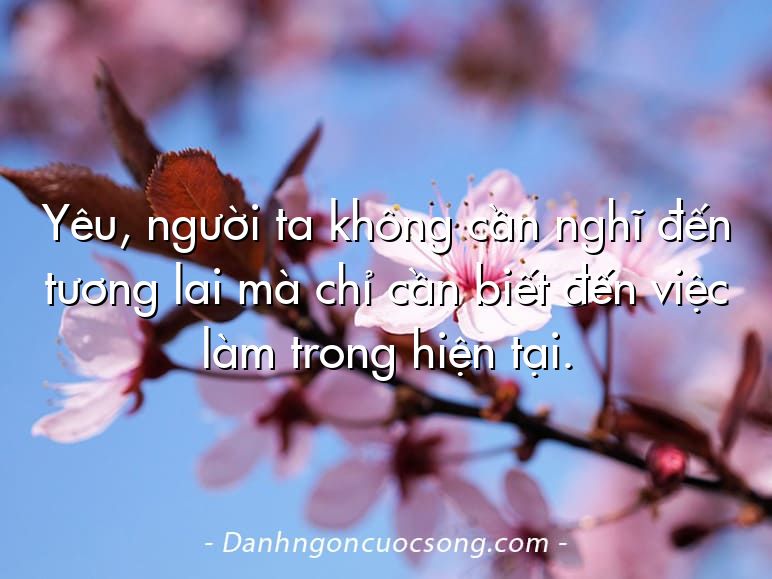 Yêu, người ta không cần nghĩ đến tương lai mà chỉ cần biết đến việc làm trong hiện tại.