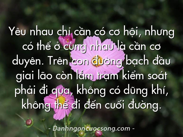 Yêu nhau chỉ cần có cơ hội, nhưng có thể ở cùng nhau là cần cơ duyên. Trên con đường bạch đầu giai lão còn lắm trạm kiểm soát phải đi qua, không có dũng khí, không thể đi đến cuối đường.