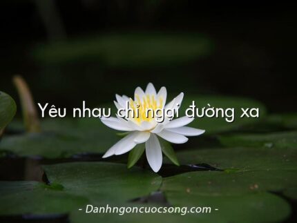 Yêu nhau chỉ ngại đường xa