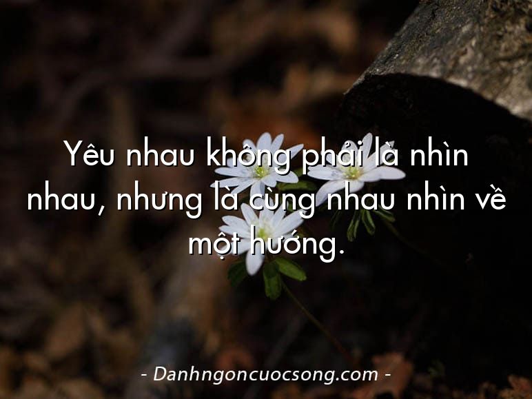 Yêu nhau không phải là nhìn nhau, nhưng là cùng nhau nhìn về một hướng.