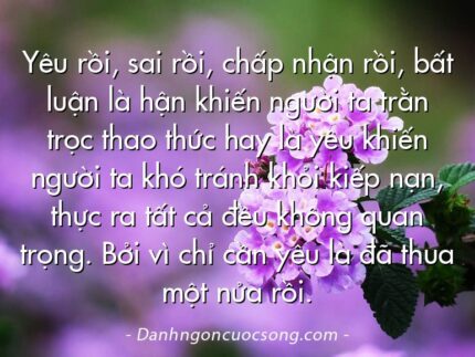 Yêu rồi, sai rồi, chấp nhận rồi, bất luận là hận khiến người ta trằn trọc thao thức hay là yêu khiến người ta khó tránh khỏi kiếp nạn, thực ra tất cả đều không quan trọng. Bởi vì chỉ cần yêu là đã thua một nửa rồi.