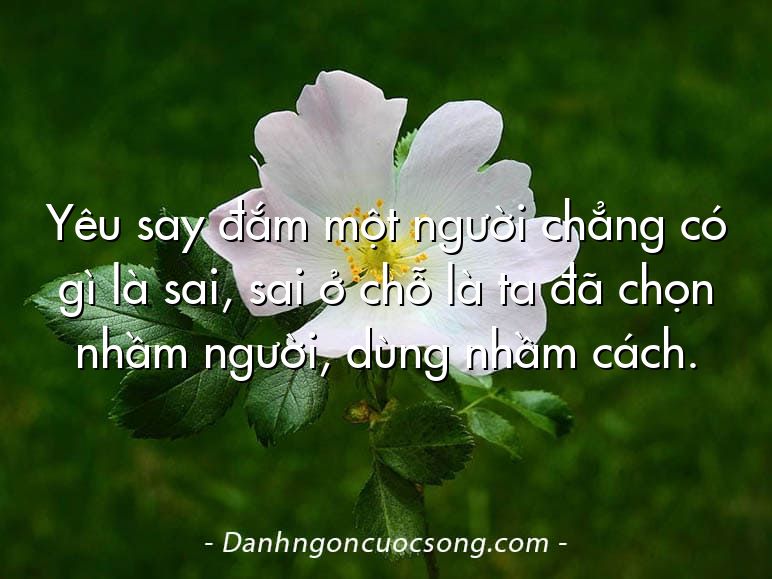 Yêu say đắm một người chẳng có gì là sai, sai ở chỗ là ta đã chọn nhầm người, dùng nhầm cách.