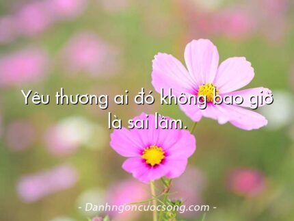 Yêu thương ai đó không bao giờ là sai lầm.