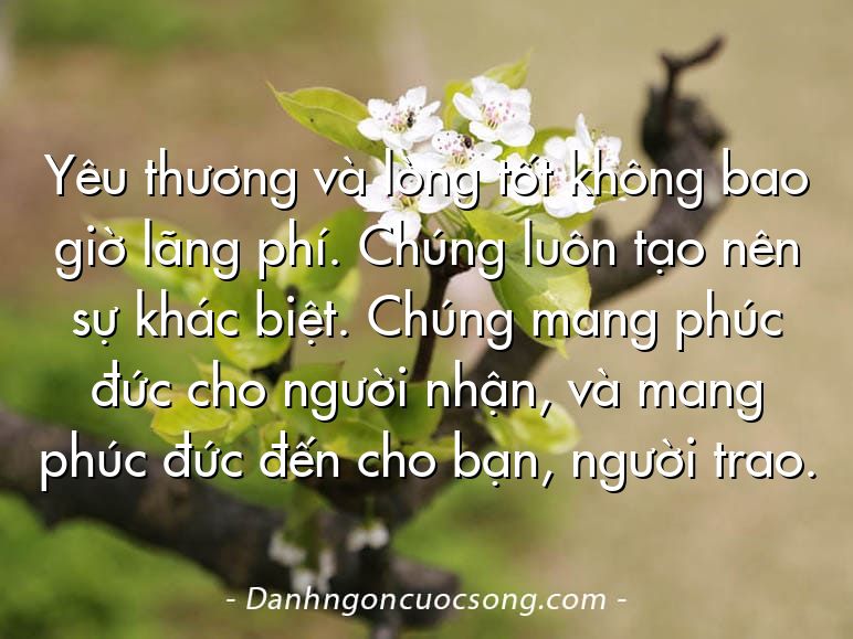 Yêu thương và lòng tốt không bao giờ lãng phí. Chúng luôn tạo nên sự khác biệt. Chúng mang phúc đức cho người nhận, và mang phúc đức đến cho bạn, người trao.