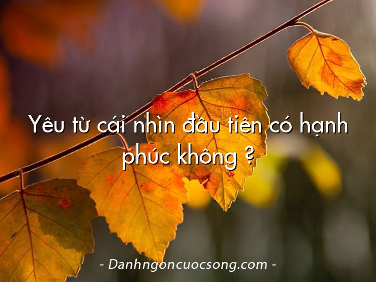 Yêu từ cái nhìn đầu tiên có hạnh phúc không ?