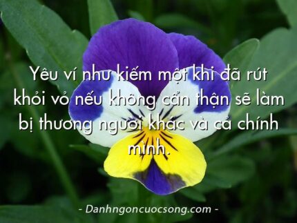 Yêu ví như kiếm một khi đã rút khỏi vỏ nếu không cẩn thận sẽ làm bị thương người khác và cả chính mình.