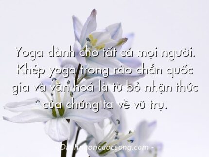 Yoga dành cho tất cả mọi người. Khép yoga trong rào chắn quốc gia và văn hoá là từ bỏ nhận thức của chúng ta về vũ trụ.