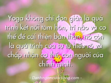 Yoga không chỉ đơn giản là quá trình kết nối tâm hôn, trí não và cơ thể để cải thiện bản thân, nó còn là quá trình của sự tự hiểu rõ và chấp nhận cơ thể, con người của chính mình.