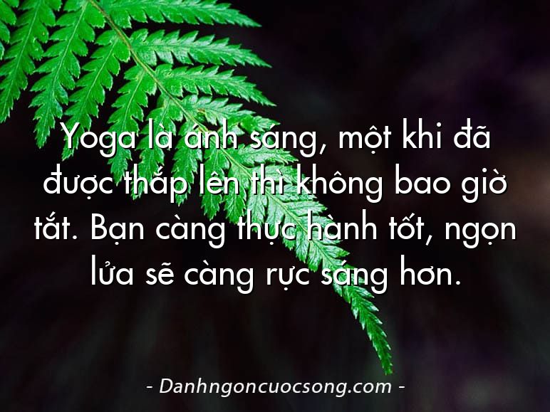 Yoga là ánh sáng, một khi đã được thắp lên thì không bao giờ tắt. Bạn càng thực hành tốt, ngọn lửa sẽ càng rực sáng hơn.