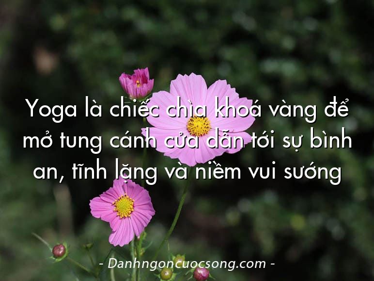 Yoga là chiếc chìa khoá vàng để mở tung cánh cửa dẫn tới sự bình an, tĩnh lặng và niềm vui sướng
