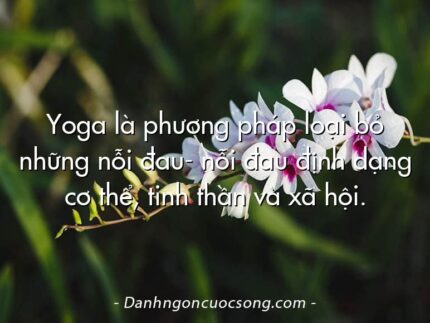 Yoga là phương pháp loại bỏ những nỗi đau- nỗi đau định dạng cơ thể, tinh thần và xã hội.