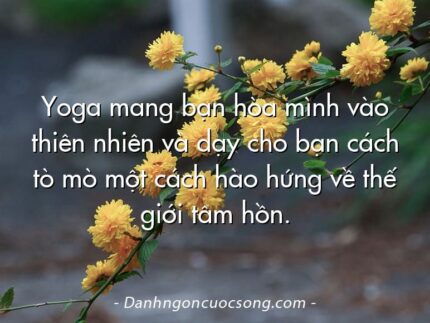 Yoga mang bạn hòa mình vào thiên nhiên và dạy cho bạn cách tò mò một cách hào hứng về thế giới tâm hồn.
