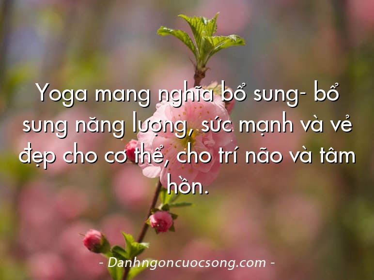 Yoga mang nghĩa bổ sung- bổ sung năng lượng, sức mạnh và vẻ đẹp cho cơ thể, cho trí não và tâm hồn.