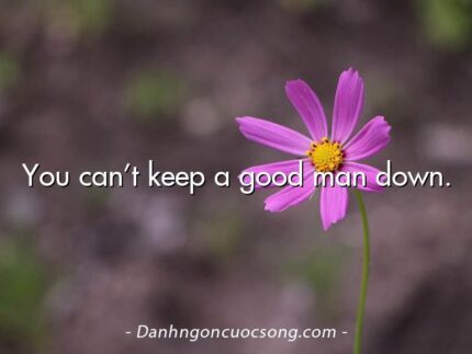 You can’t keep a good man down.
