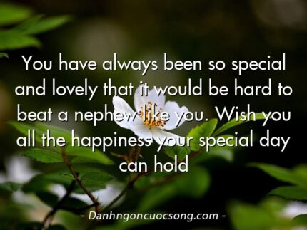 You have always been so special and lovely that it would be hard to beat a nephew like you. Wish you all the happiness your special day can hold