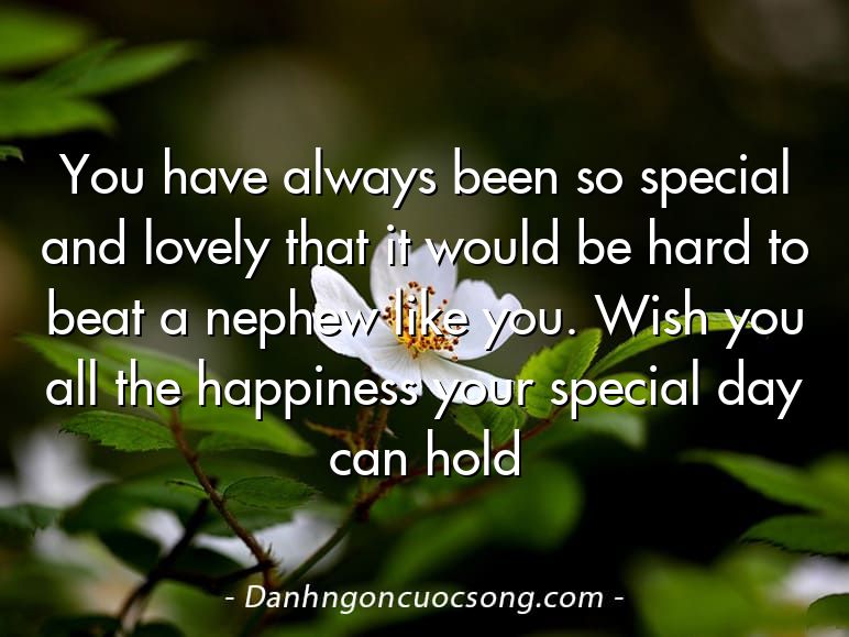 You have always been so special and lovely that it would be hard to beat a nephew like you. Wish you all the happiness your special day can hold