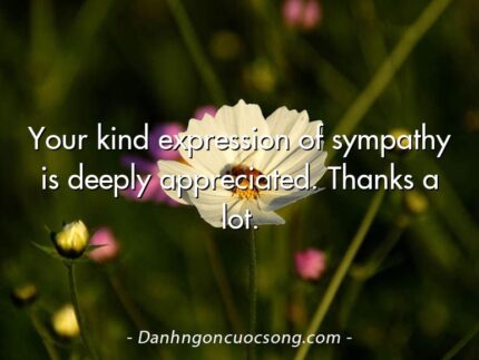 Your kind expression of sympathy is deeply appreciated. Thanks a lot.