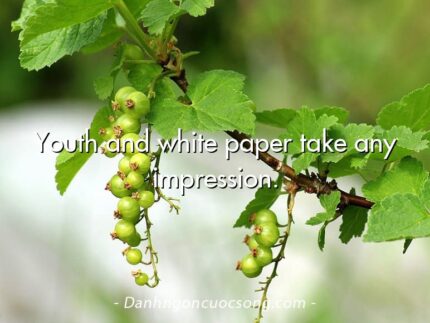 Youth and white paper take any impression.