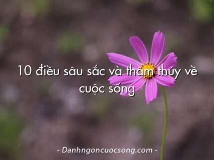 10 điều sâu sắc và thâm thúy về cuộc sống