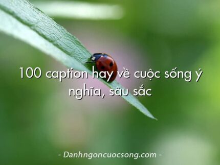 100 caption hay về cuộc sống ý nghĩa, sâu sắc