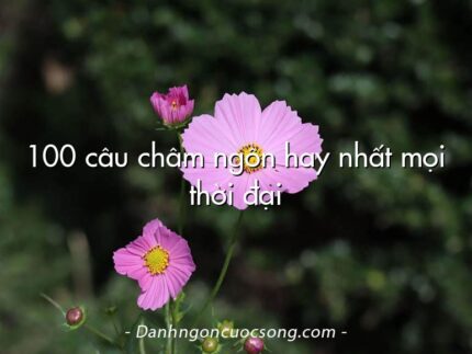 100 câu châm ngôn hay nhất mọi thời đại