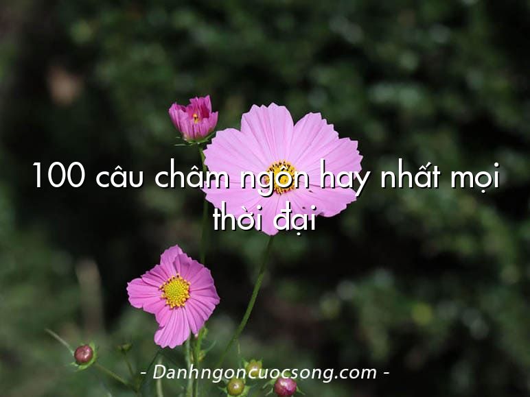 100 câu châm ngôn hay nhất mọi thời đại