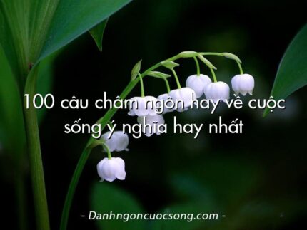 100 câu châm ngôn hay về cuộc sống ý nghĩa hay nhất