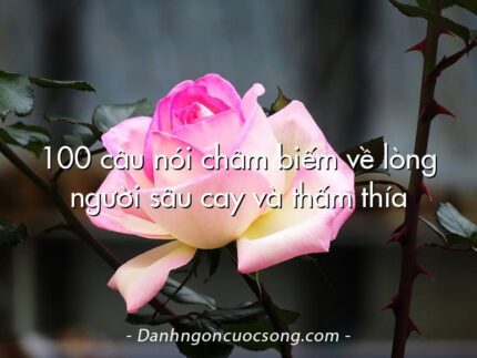 100 câu nói châm biếm về lòng người sâu cay và thấm thía