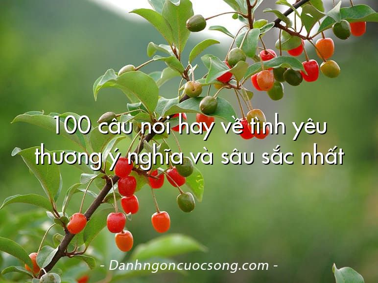 100 câu nói hay về tình yêu thương ý nghĩa và sâu sắc nhất