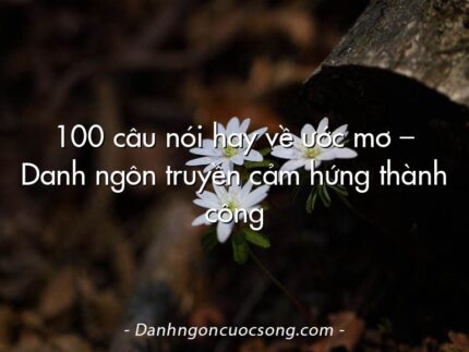 100 câu nói hay về ước mơ – Danh ngôn truyền cảm hứng thành công