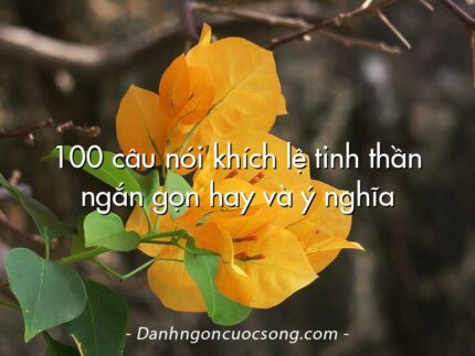 100 câu nói khích lệ tinh thần ngắn gọn hay và ý nghĩa