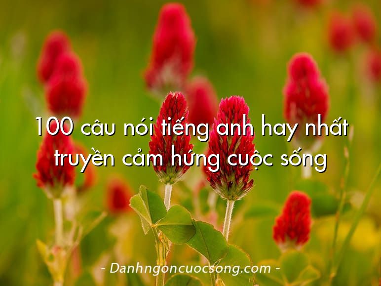 100 câu nói tiếng anh hay nhất truyền cảm hứng cuộc sống