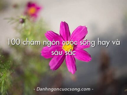 100 châm ngôn cuộc sống hay và sâu sắc