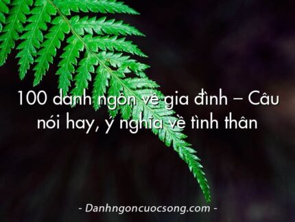 100 danh ngôn về gia đình – Câu nói hay, ý nghĩa về tình thân