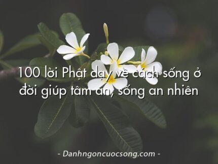 100 lời Phật dạy về cách sống ở đời giúp tâm an, sống an nhiên