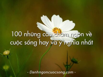 100 những câu châm ngôn về cuộc sống hay và ý nghĩa nhất